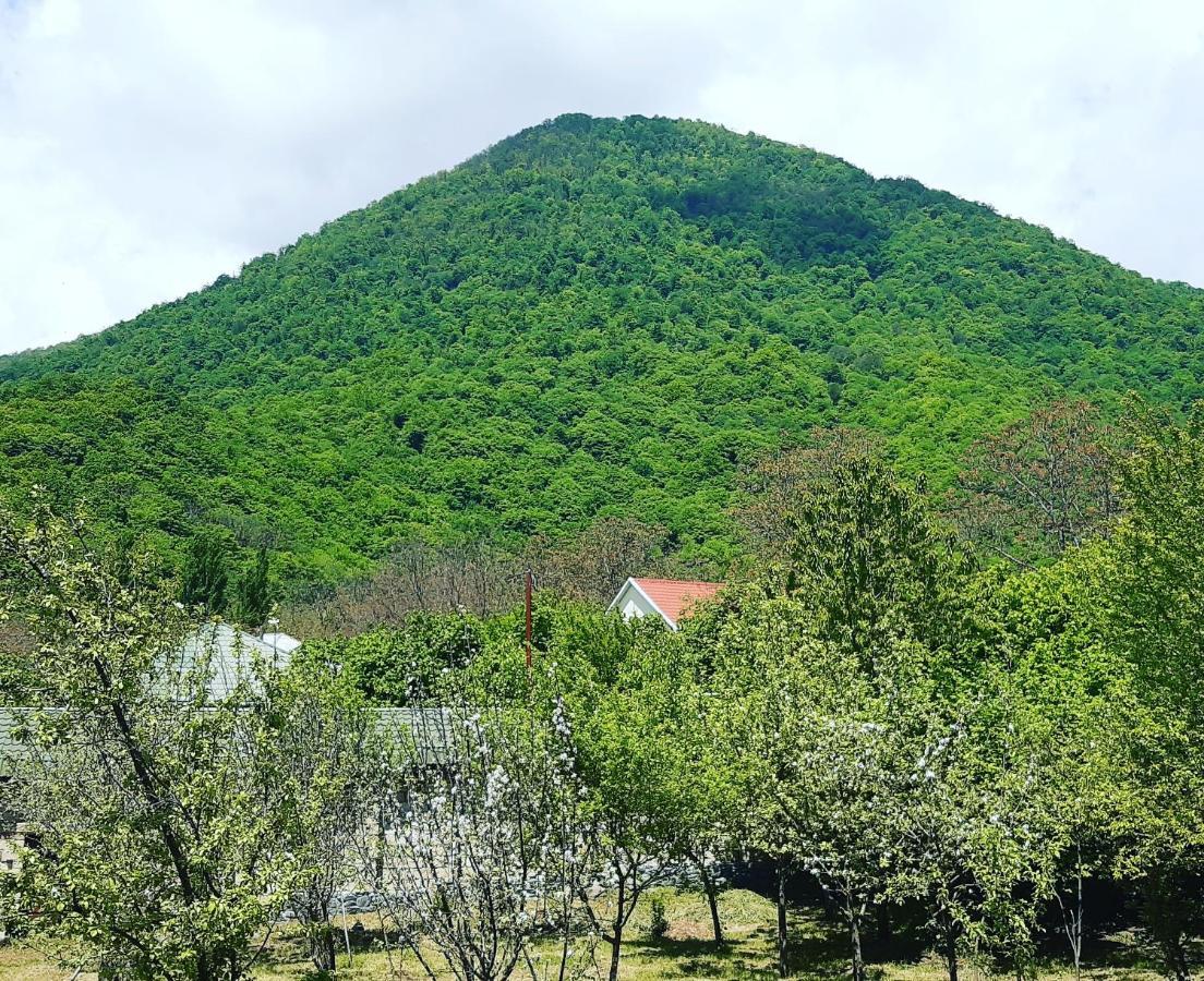 Gabala Sweet Home المظهر الخارجي الصورة